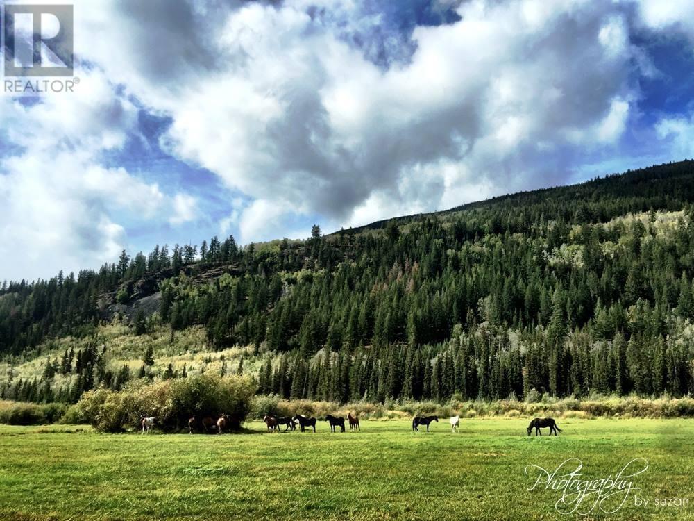 6775 TATLAYOKO ROAD, Williams Lake