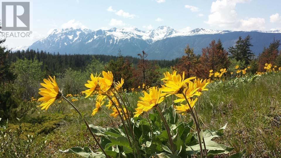 6775 TATLAYOKO ROAD, Williams Lake