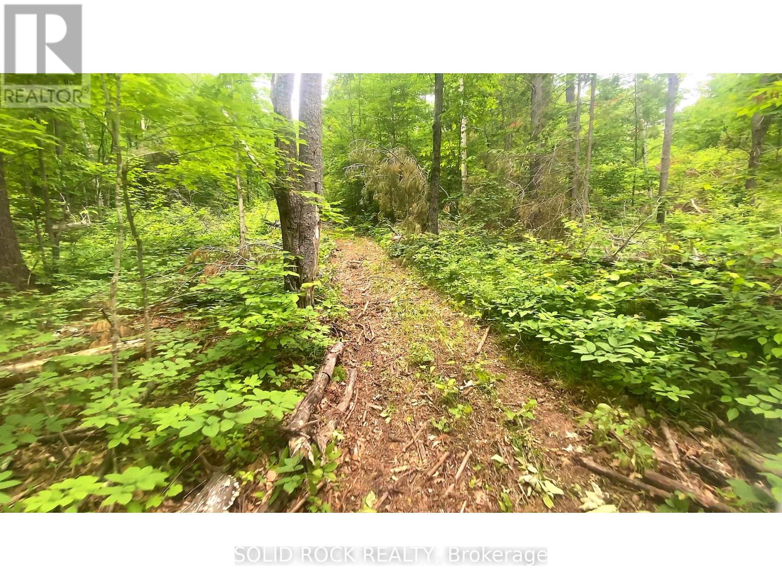 Photo 12 of 1535 French Line Road, Lanark Highlands ON