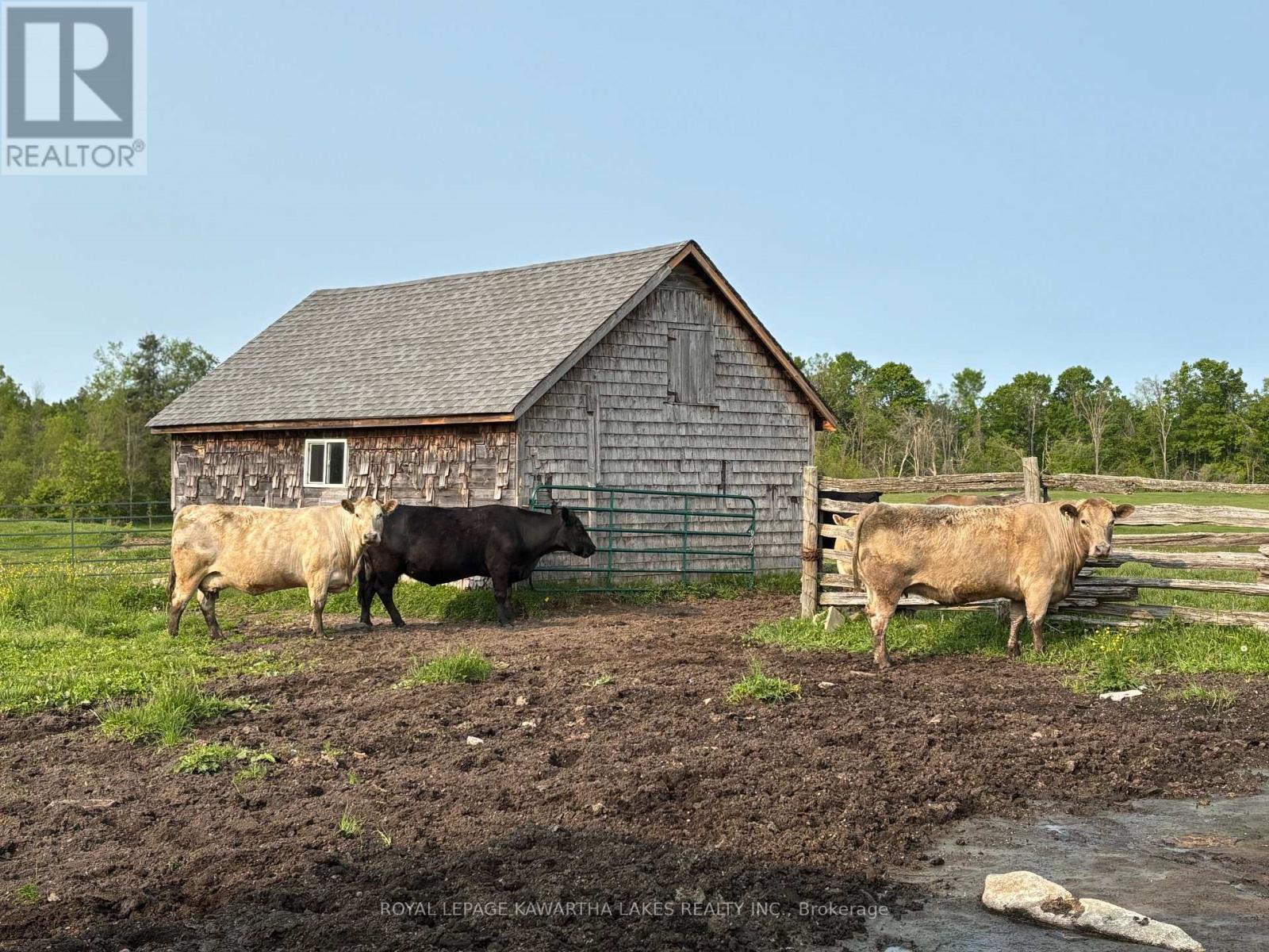 Photo 2 of 2433 County Road 121 Road, Kawartha Lakes ON