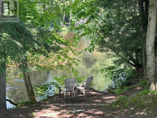 Photo 33 of 2433 County Road 121 Road, Kawartha Lakes ON