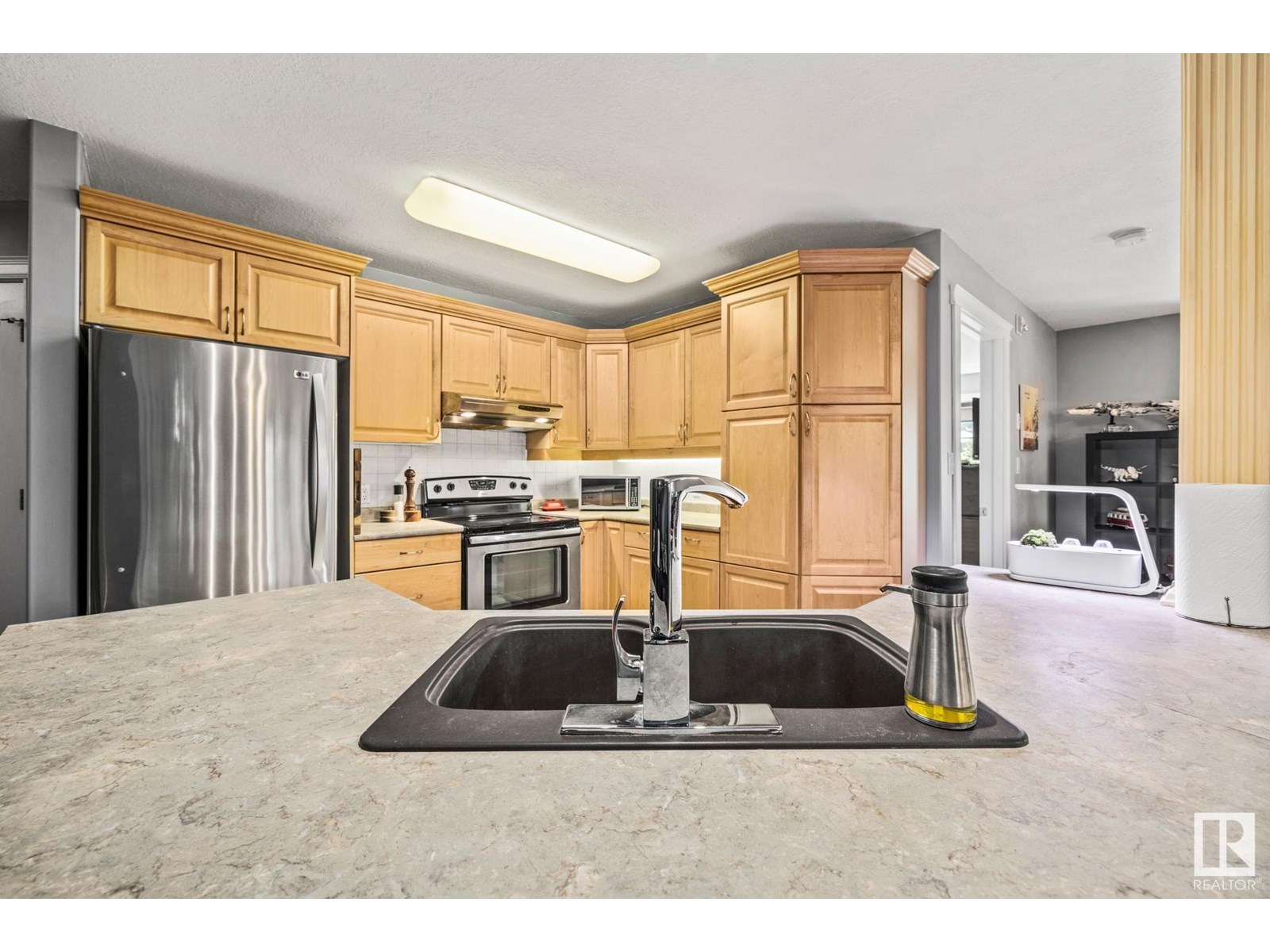 Photo 7 of 107 6708 90 Av Nw, Edmonton AB