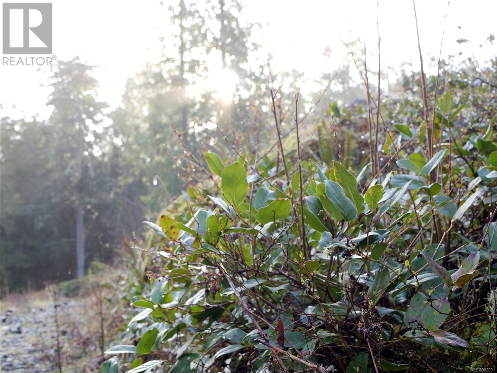 Photo 20 of 1235 Starlight Grove, Sooke BC
