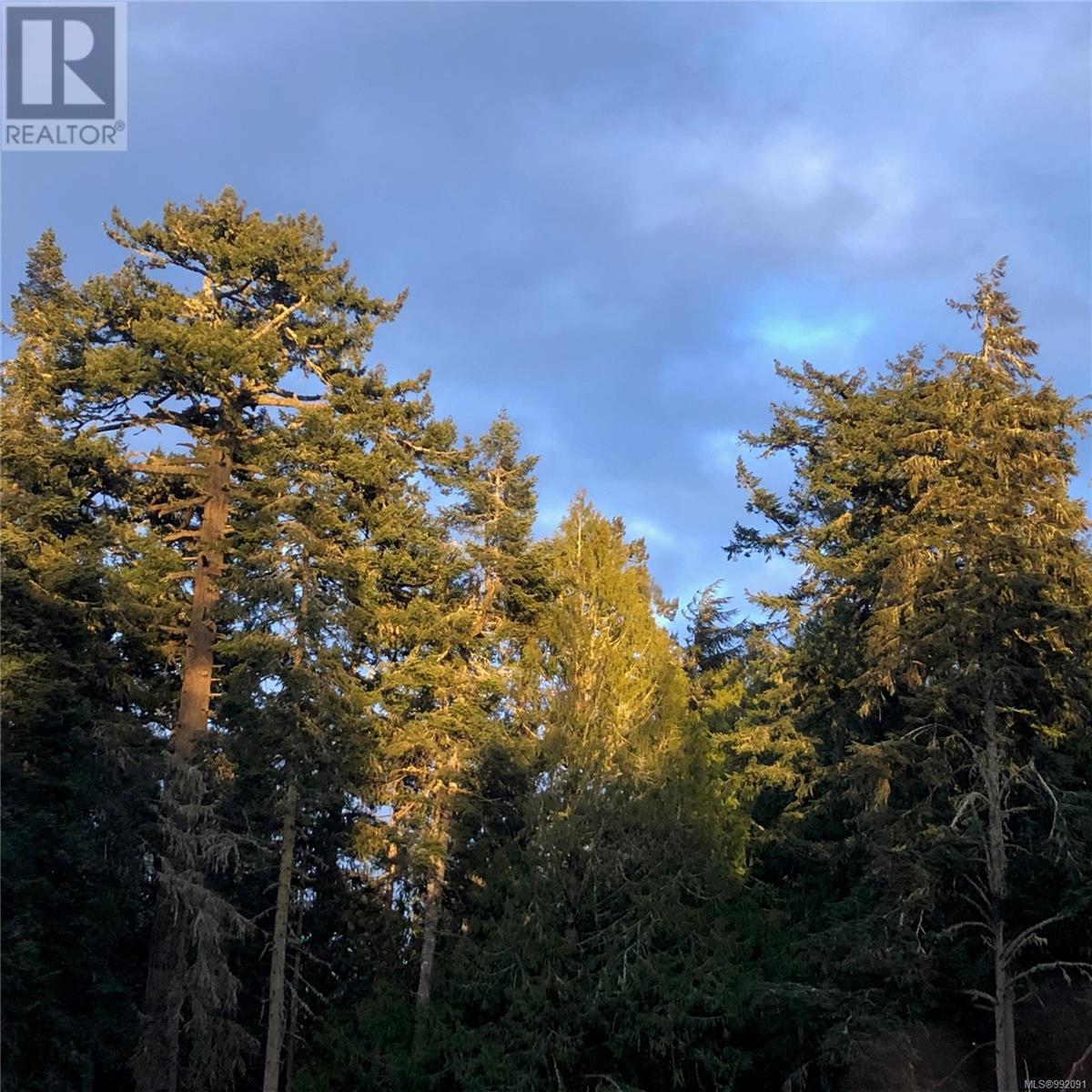 Photo 11 of 1235 Starlight Grove, Sooke BC
