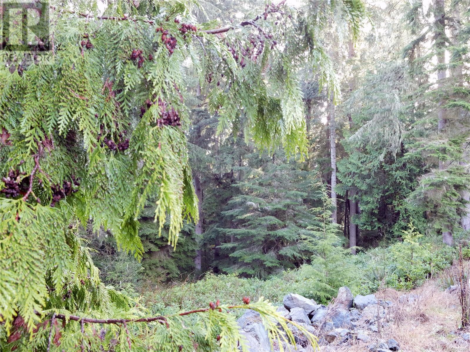 Photo 25 of 1235 Starlight Grove, Sooke BC