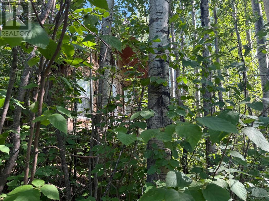 318 13221 680 Township, Rural Lac La Biche County