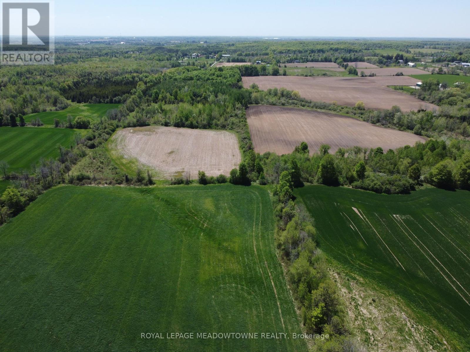 Photo 4 of 11080 First Nassagaweya Line, Milton ON