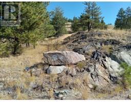  1024 BULLMOOSE Trail, Osoyoos