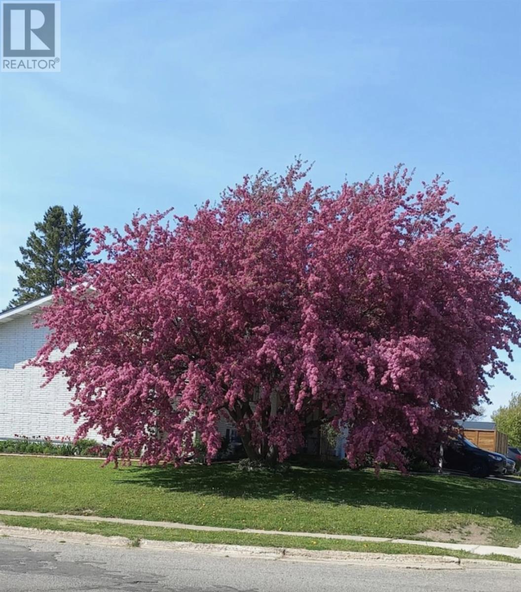 Photo 28 of 933 North St, Sault Ste Marie ON