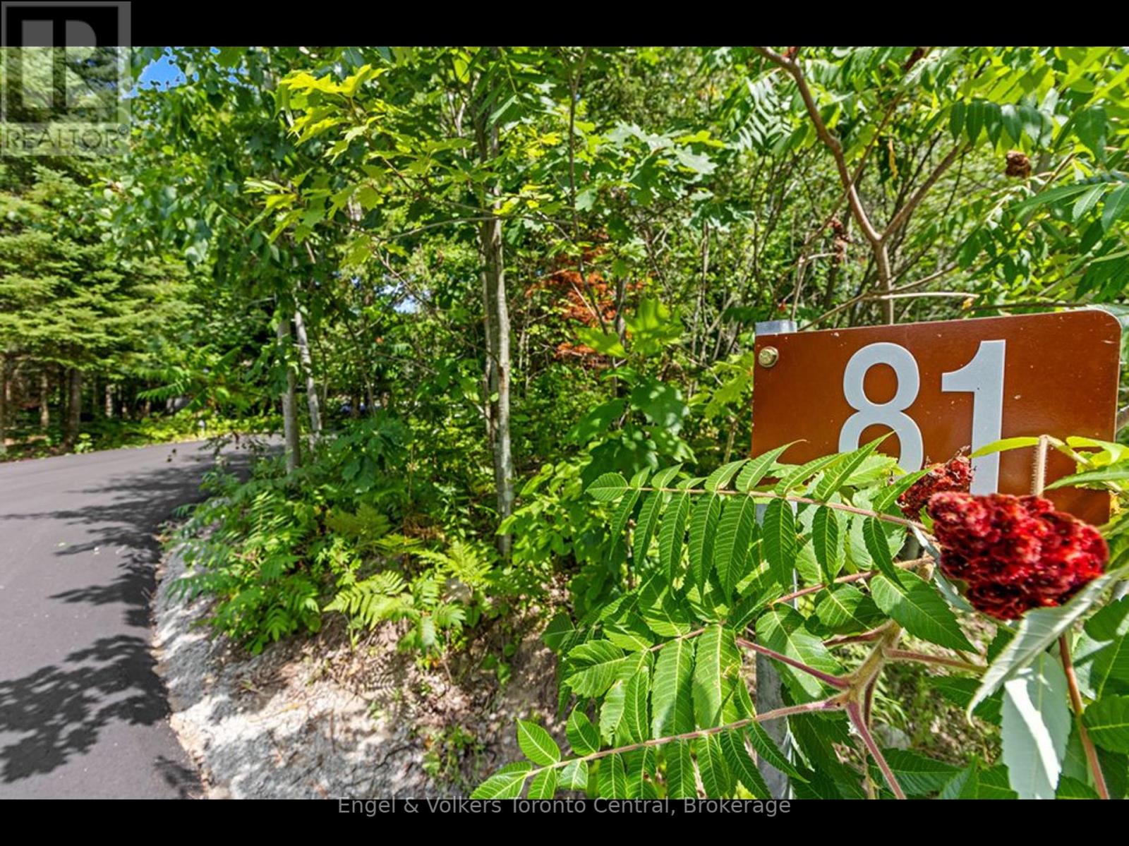 81 SPRUCE STREET - 5