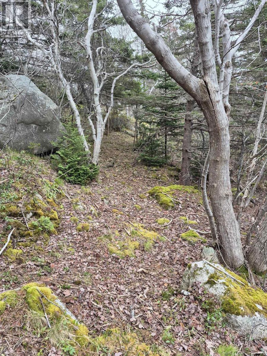 Photo 7 of 1614 1618 Terence Bay Road, Terence Bay NS