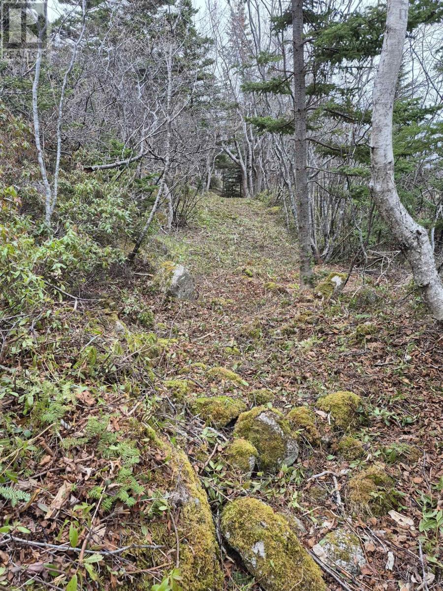 Photo 22 of 1614 1618 Terence Bay Road, Terence Bay NS