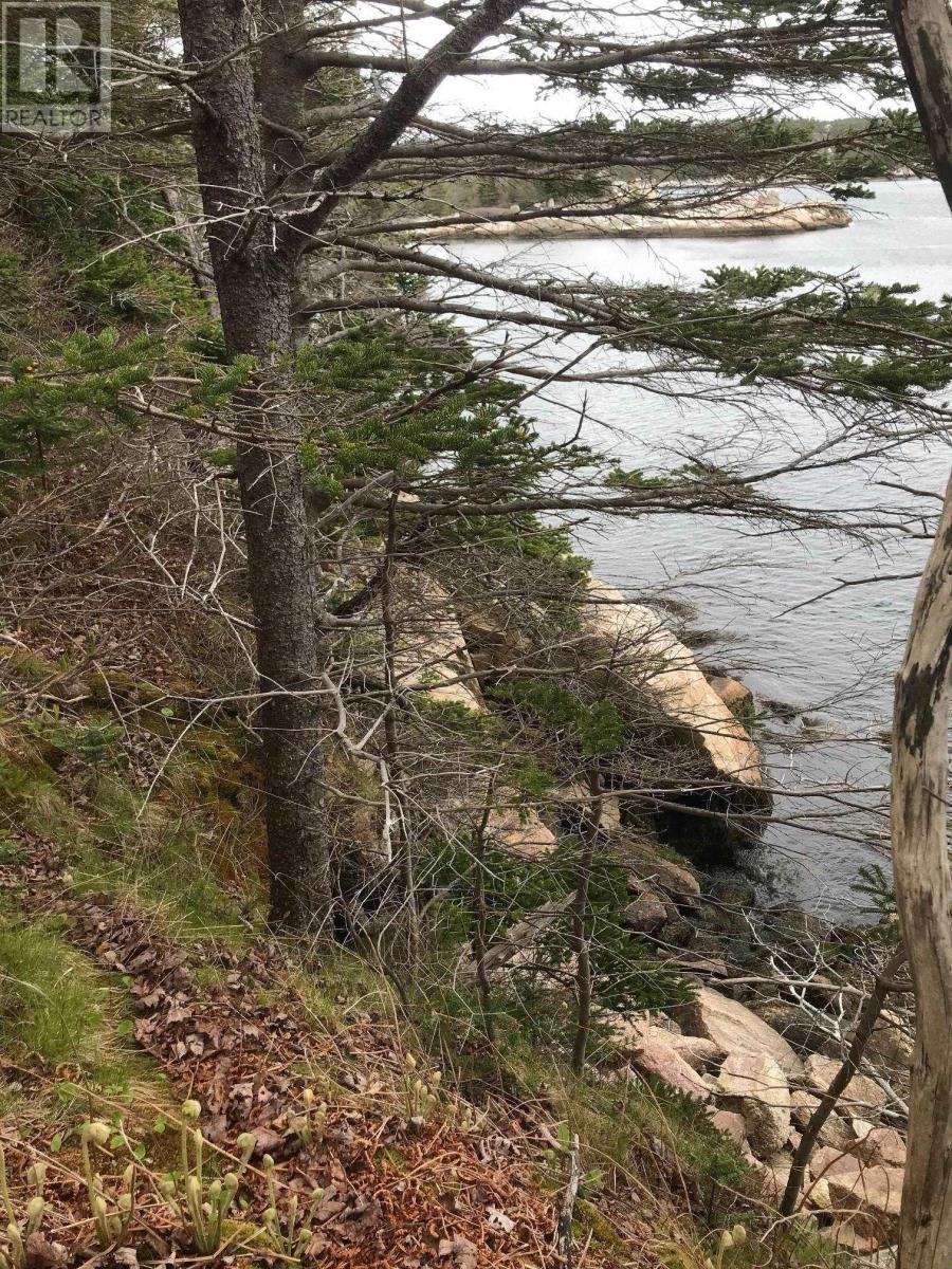 Photo 3 of 1614 1618 Terence Bay Road, Terence Bay NS