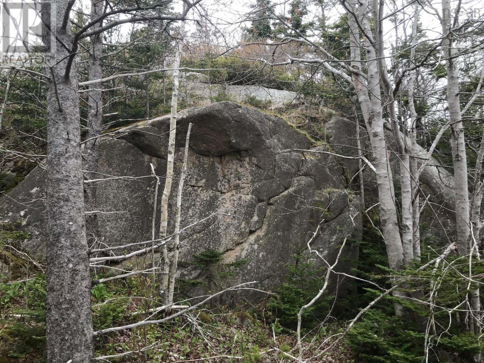 Photo 10 of 1614 1618 Terence Bay Road, Terence Bay NS