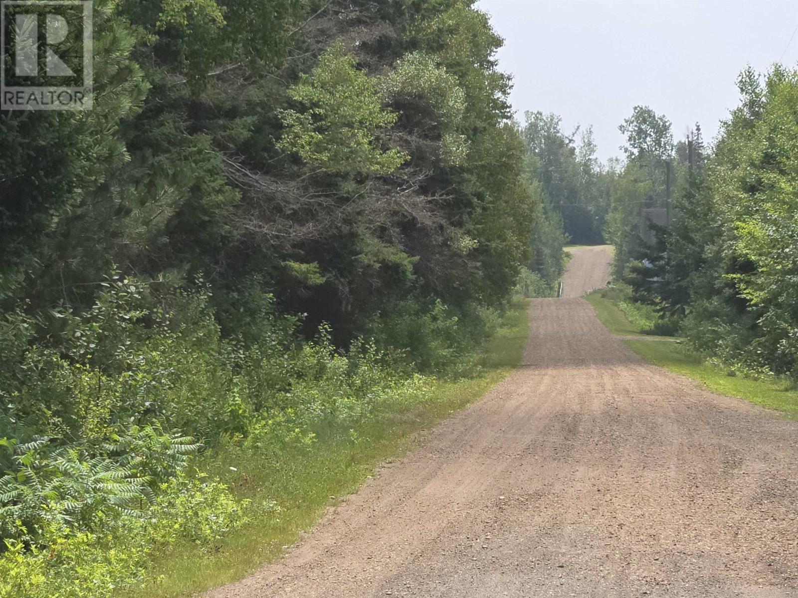 52 Ross Road - photo 4