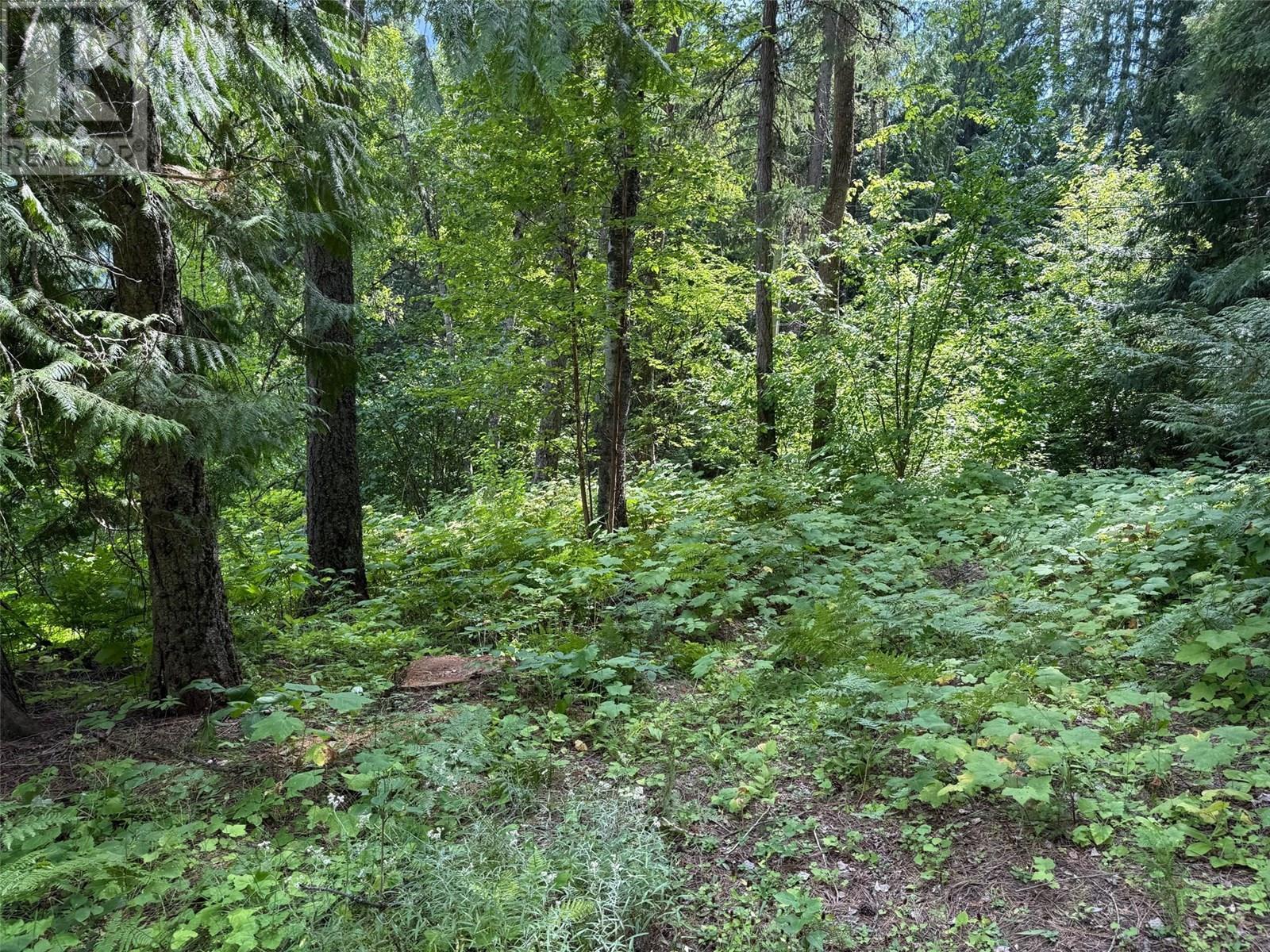 Photo 24 of 4640 Slocan River Road, Winlaw BC
