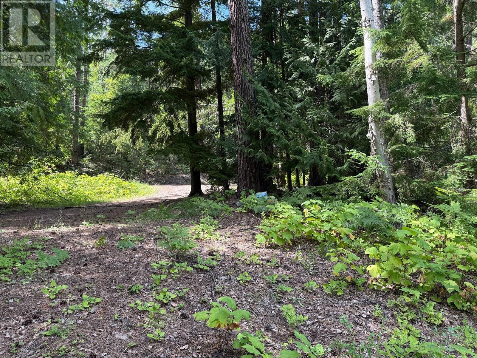 Photo 23 of 4640 Slocan River Road, Winlaw BC