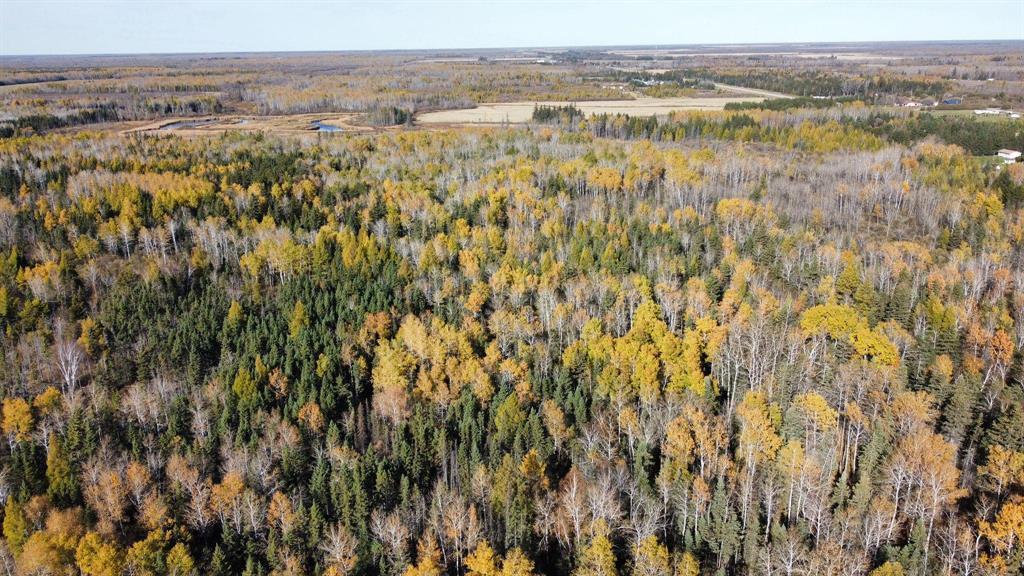 Photo 5 of 0 Pth 11 Highway, Hadashville MB