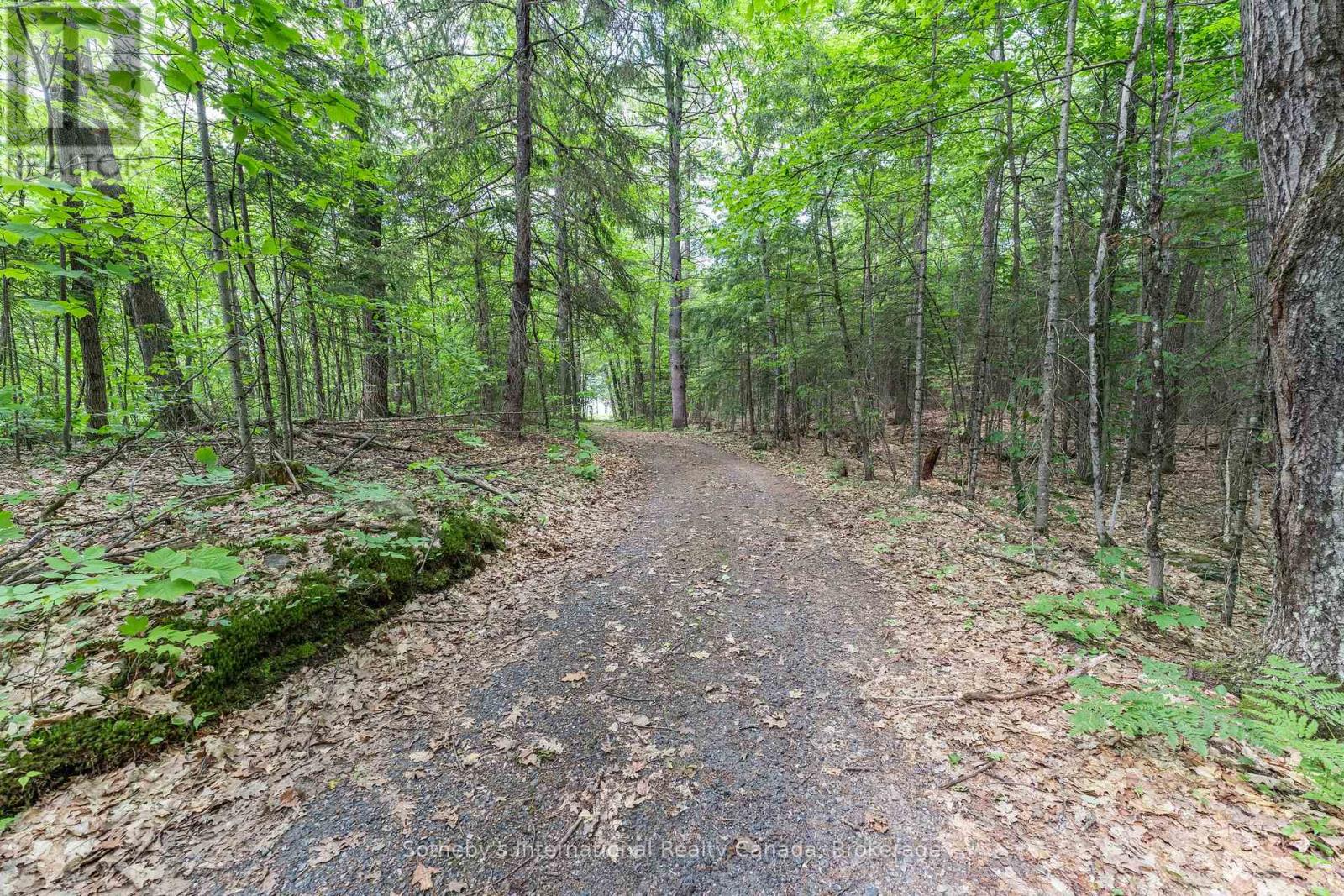 Photo 22 of 1076 Nithgrove Road, Lake Of Bays ON