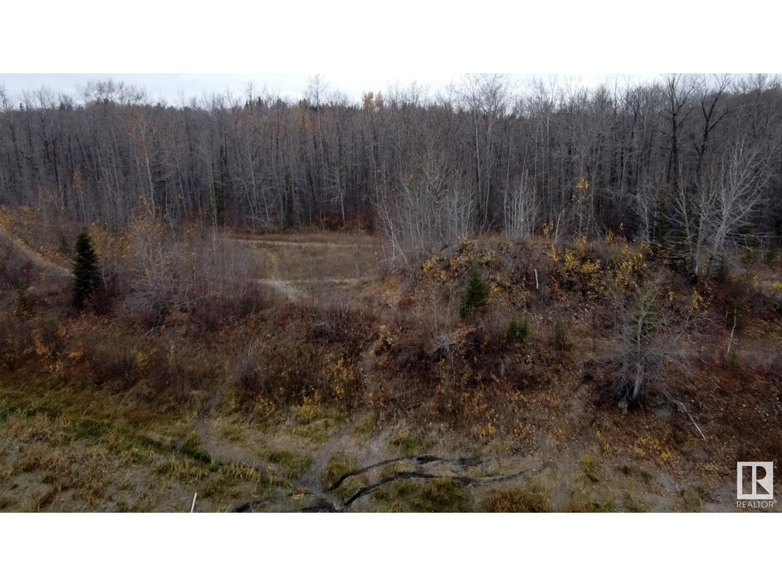 Photo 21 of 503 199 St Nw, Edmonton AB