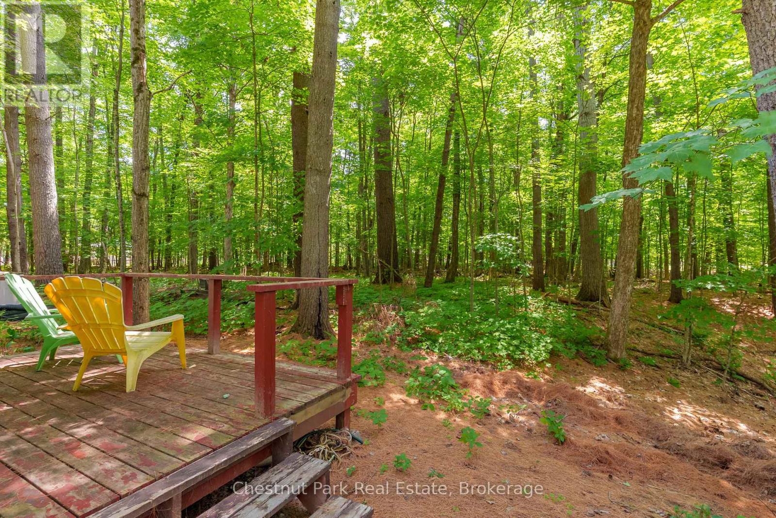 Photo 6 of 869 Muskoka Road 10, Huntsville ON