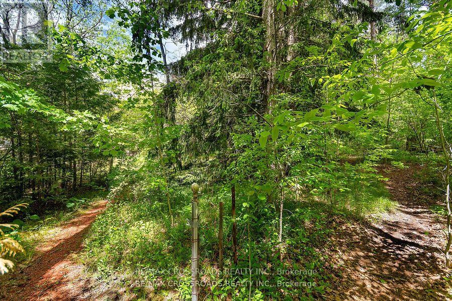Photo 21 of 5 Shepherd Road, Whitby ON