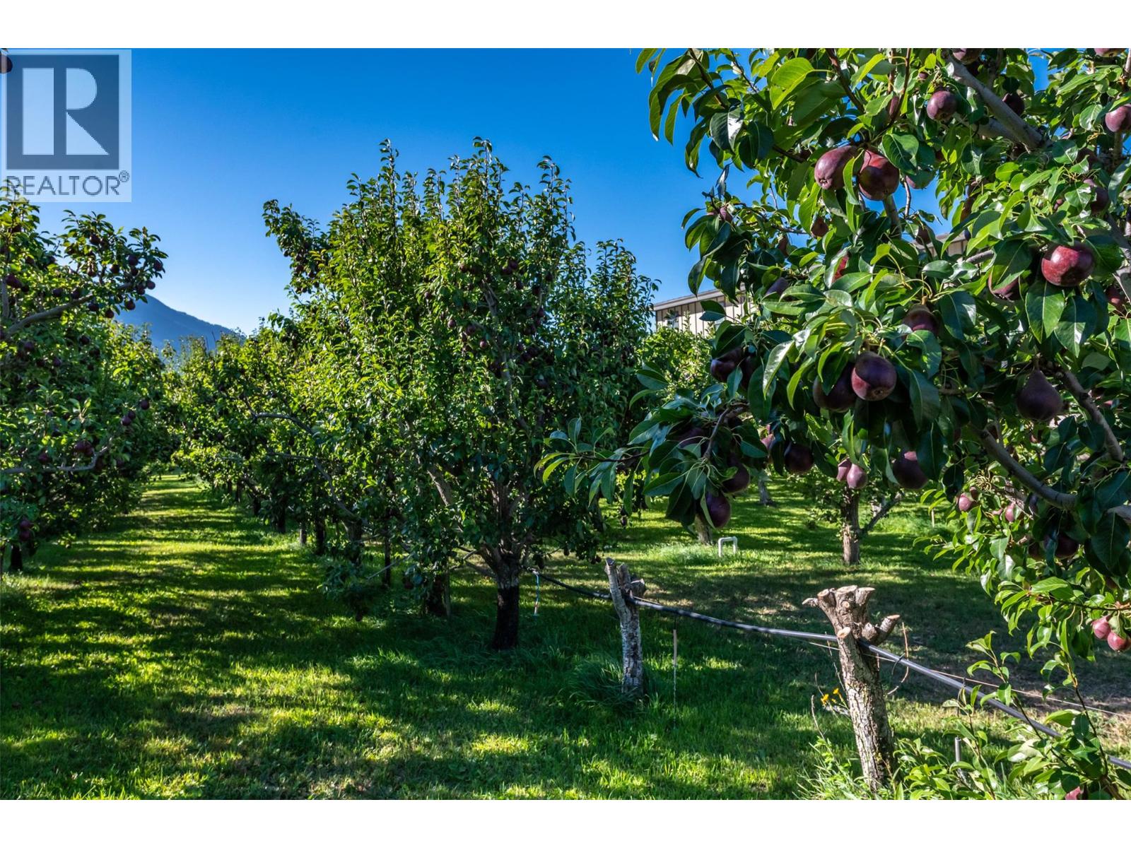  725 Mackenzie Road, Cawston