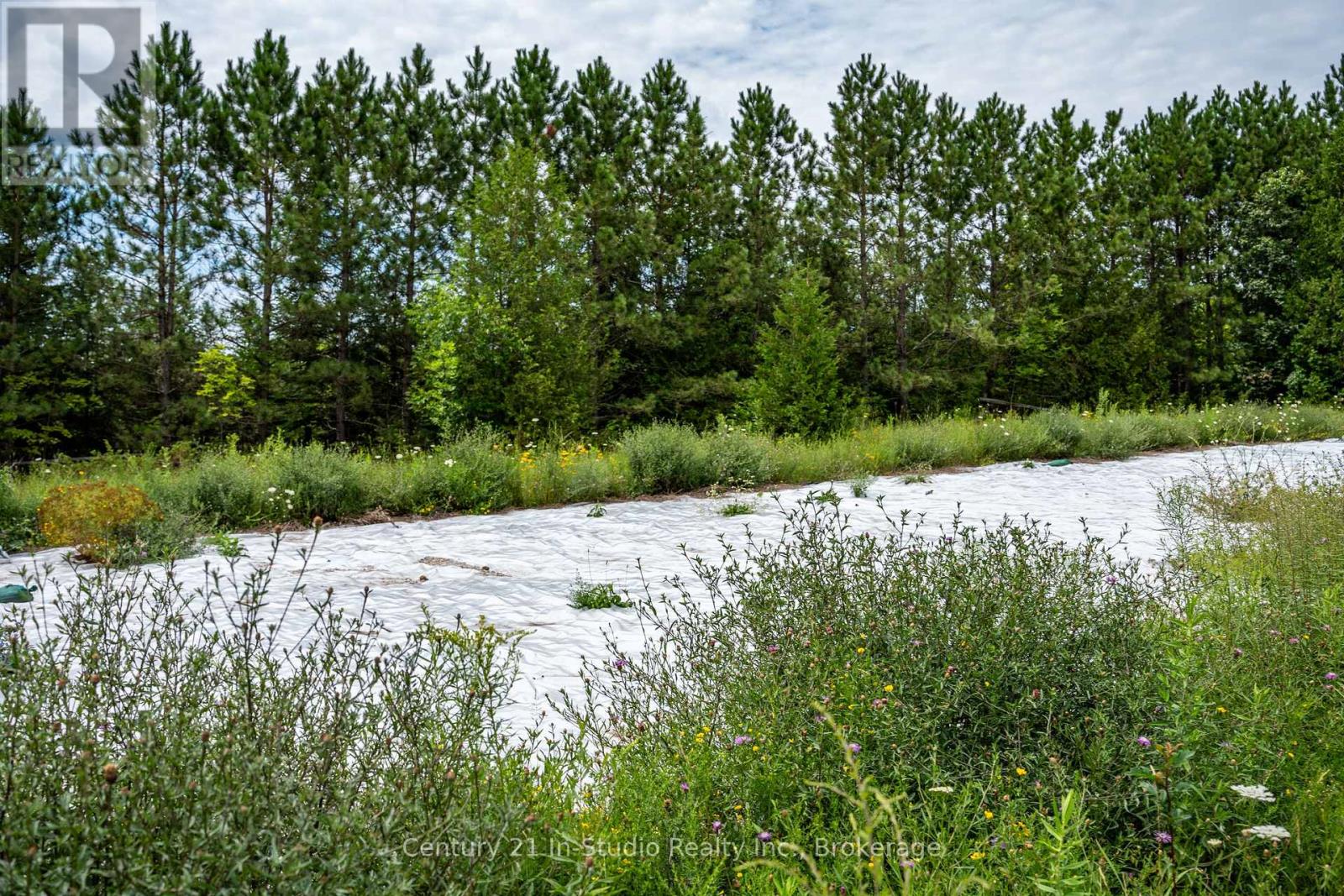 Photo 3 of 415198 Baseline Road, West Grey ON