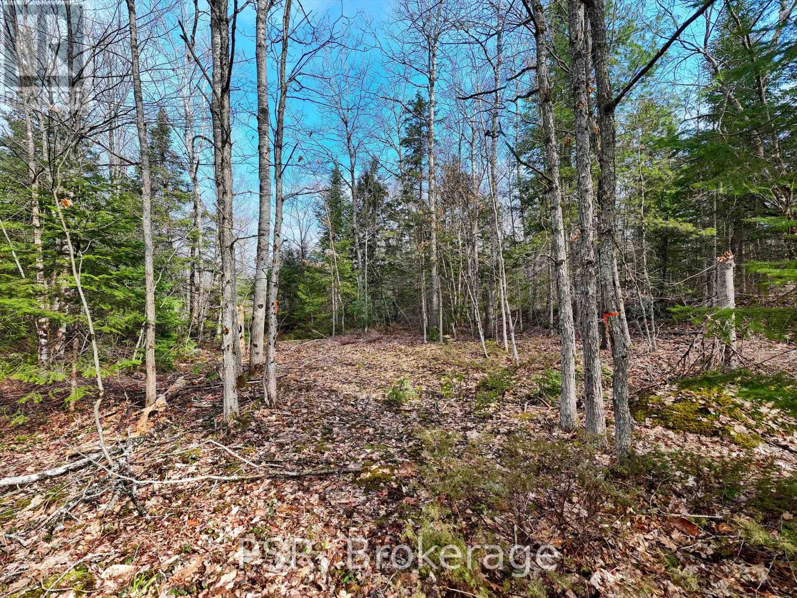 Photo 3 of 3410 Southwood Road, Gravenhurst ON