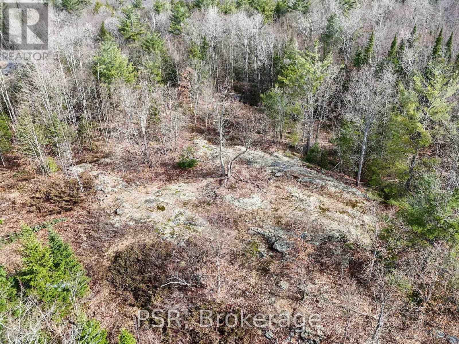 Photo 7 of 3410 Southwood Road, Gravenhurst ON