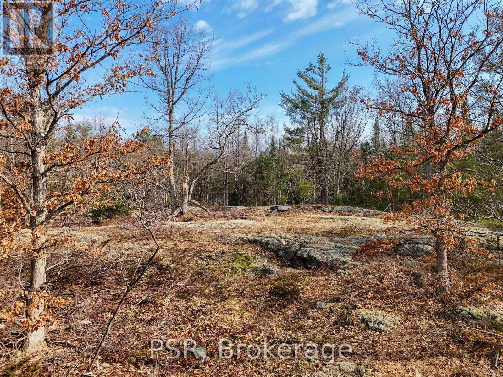 Photo 16 of 3410 Southwood Road, Gravenhurst ON