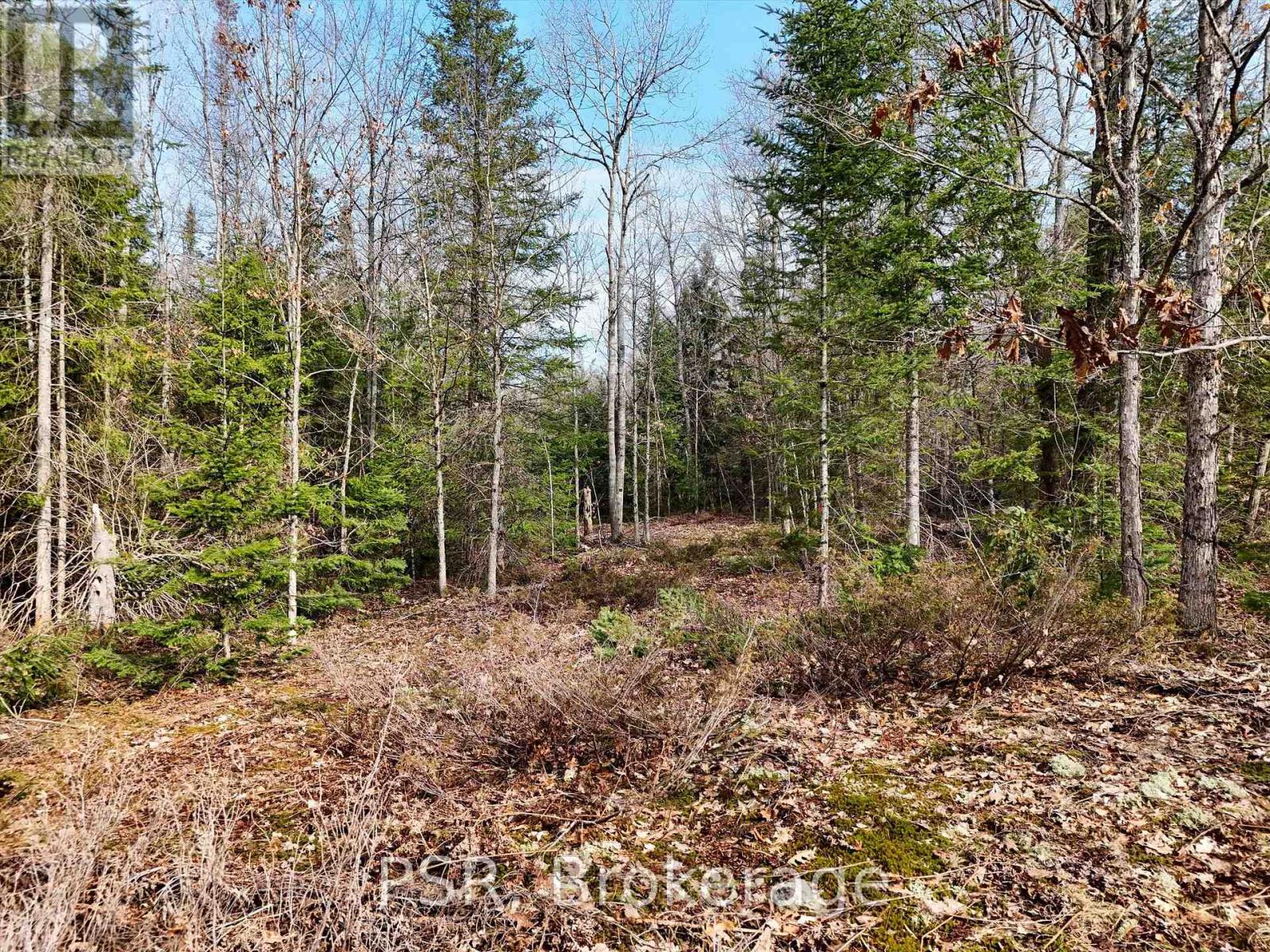 Photo 24 of 3410 Southwood Road, Gravenhurst ON