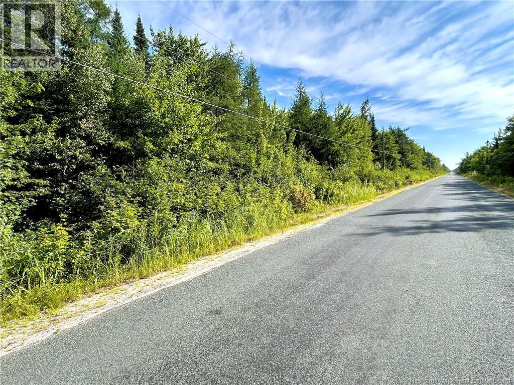 Photo 4 of 39 85 Acres Point Aux Carr Road, Napan NB