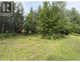Lot 86.1 South Tomogonops Cluster, photo 5