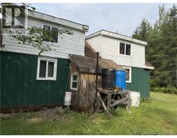 Lot 86.1 South Tomogonops Cluster, photo 3