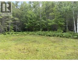 Lot 86.1 South Tomogonops Cluster, photo 4