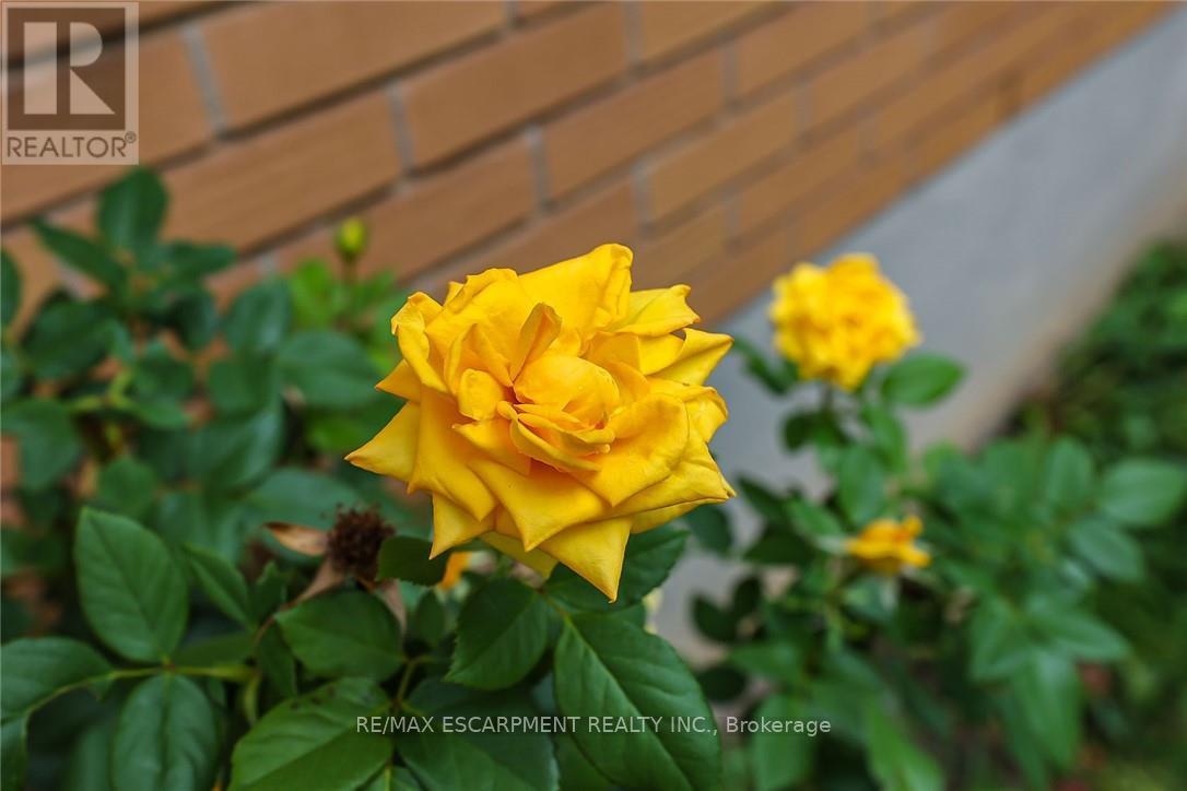 Photo 32 of 5750 Hodgson Avenue, Niagara Falls ON