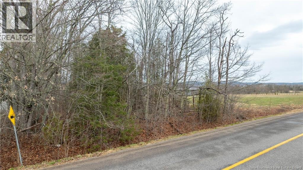 Photo 19 of Lot 21 3 Route 845, Long Reach NB