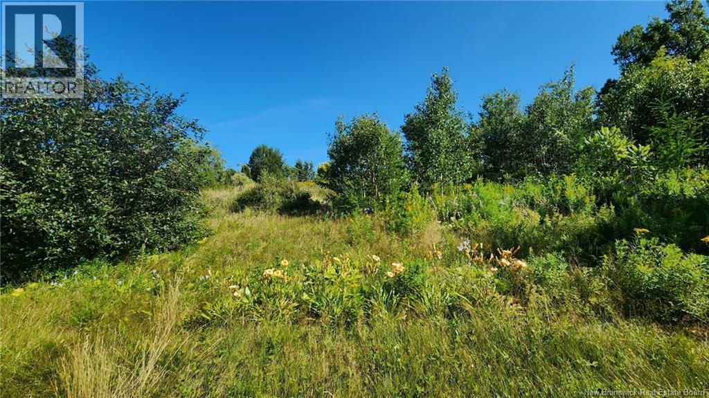 Photo 2 of 2 Acres Chemin Nowlan, Landry Office NB