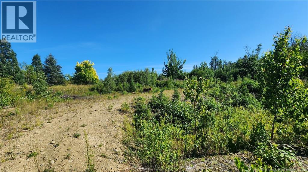 Photo 4 of 2 Acres Chemin Nowlan, Landry Office NB