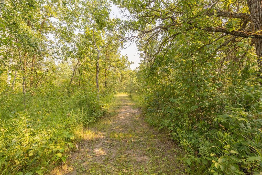 Photo 11 of 42153 Dawson Road, Ste Anne Rm MB