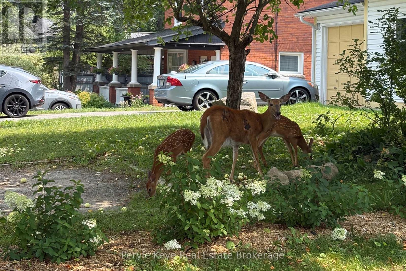 Photo 12 of 96 Ontario Street, Bracebridge ON