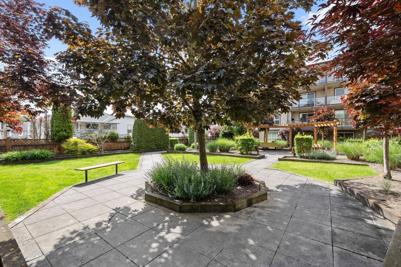Photo 22 of 423 30525 Cardinal Avenue, Abbotsford BC