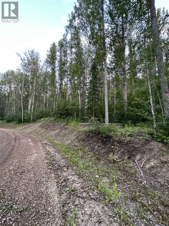 Photo 12 of 15 Wapiti River, Rural Grande Prairie No 1 County Of AB