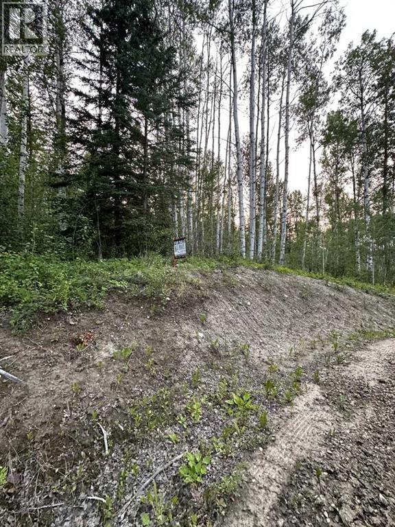 Photo 1 of 15 Wapiti River, Rural Grande Prairie No 1 County Of AB