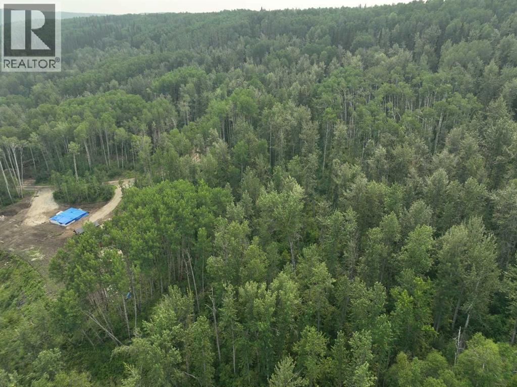 Photo 8 of 15 Wapiti River, Rural Grande Prairie No 1 County Of AB