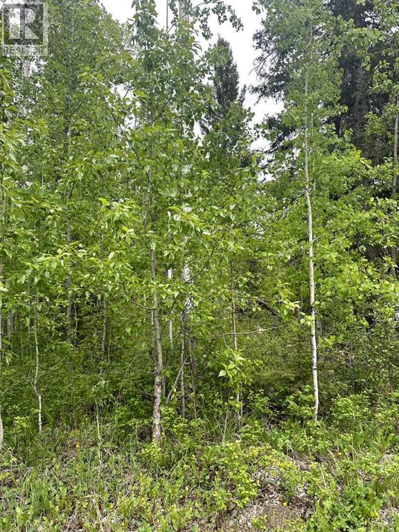 Photo 2 of 171 5227 Township Road 320, Rural Mountain View County AB