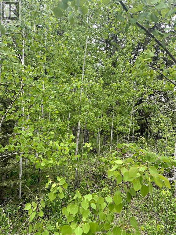 Photo 3 of 171 5227 Township Road 320, Rural Mountain View County AB