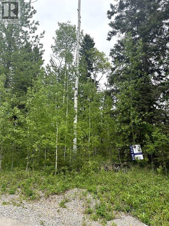 Photo 6 of 171 5227 Township Road 320, Rural Mountain View County AB