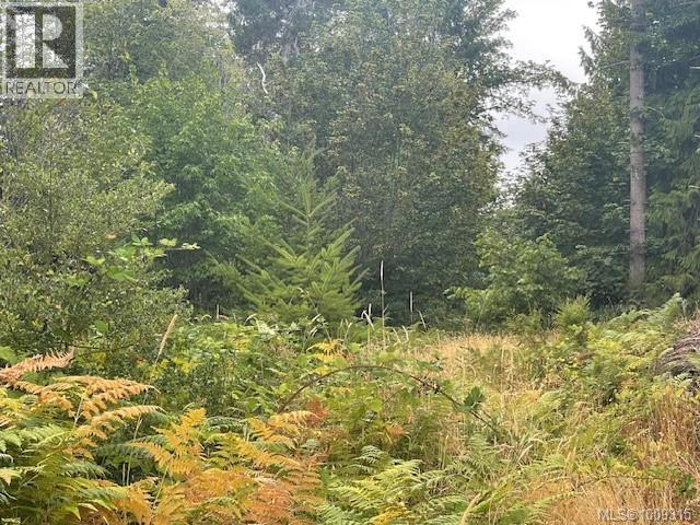 Photo 1 of 3570 Carriere Rd, Port Alberni BC